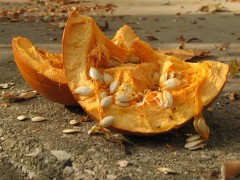Smashed Pumpkin by Shihmei Barger